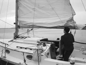 yacht reefing line