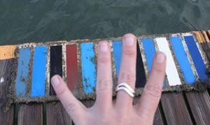 Antifouling paint