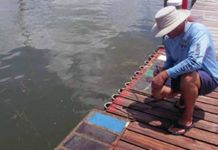 Boat Maintenance: The Essential Guide to Cleaning, Painting, and Cosmetics Book from Practical Sailor