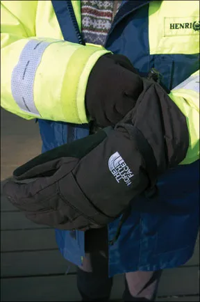 North Face Gloves