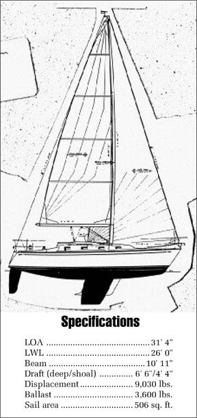 Tartan 31