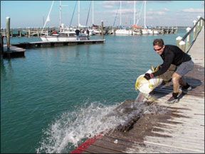 Marine Antifouling Paints Test