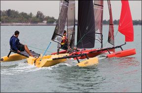 Compact Weta Trimaran 