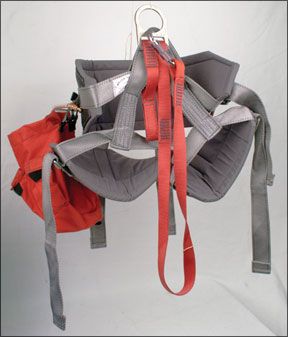 Brion Toss Cruiser’s Harness