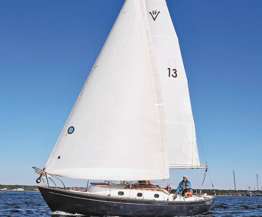 Vineyard Vixen 29