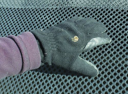 Winter Glove Report