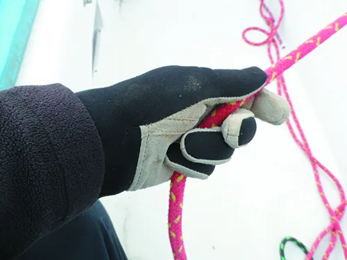 Winter Glove Report