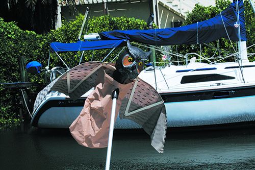 Mailport: Bird Repellants, Bilge Switches, Mini-Scuba