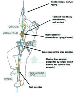 Arborist Gear for Solo Mast Ascents