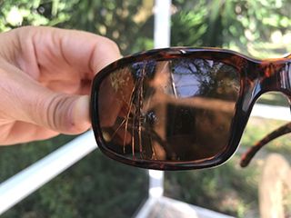 Affordable Sunglasses for Sailors