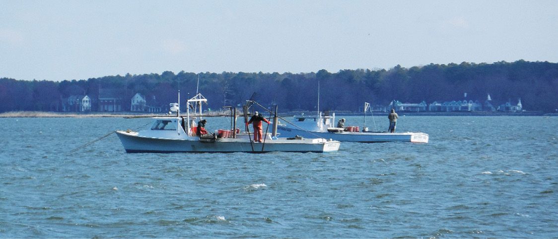 Identifying Fishing Vessels and Right of Way