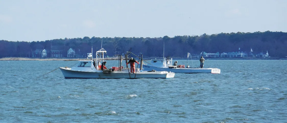 Identifying Fishing Vessels and Right of Way