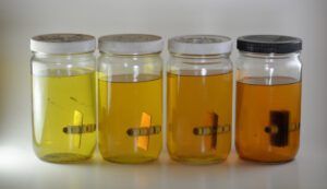 Diesel samples with metal coupons, from left to right: brass, copper, br-cu, br-cu-al. Diesel alone does not age, but copper, zinc or aluminum ions, in combination or separately, catalyze chemical reactions that create sludge. This is why ASTM, ISO, and all engine manufacturers recommend minimizing copper and zinc in fuel systems for applications that see only intermittent use, such as stand-by generators. Most sailboats see only seasonal use, sitting for 6 months or more without moving. (Photo/ Drew Frye)