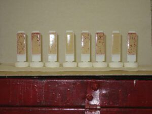 Dip-test slides identify effective biocides in PS testing. They can also be used to diagnose infected tanks early. Later, as the infection becomes severe, the snot in the filter is a dead giveaway. (Photo/ Drew Frye)