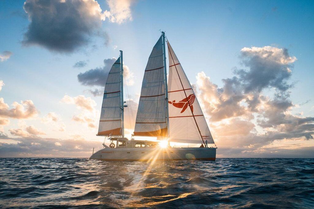 DVD 62 foot Aluminium Cruising Catamaran, designed by De Villiers Marine Design. This boat has over 90,000 nm, can accommodate 10 people and is now operating for Sea Legacy, a marine conservation group.