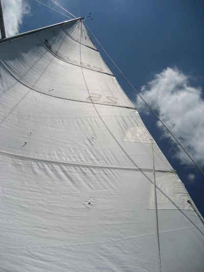 Are Wrinkles Killing Your Sail Shape?