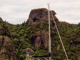 A Coast 34 or Roberts 341 in Whangarei, Aotearoa New Zealand. (Photo/ Grahame Shannon)