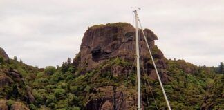 A Coast 34 or Roberts 341 in Whangarei, Aotearoa New Zealand. (Photo/ Grahame Shannon)