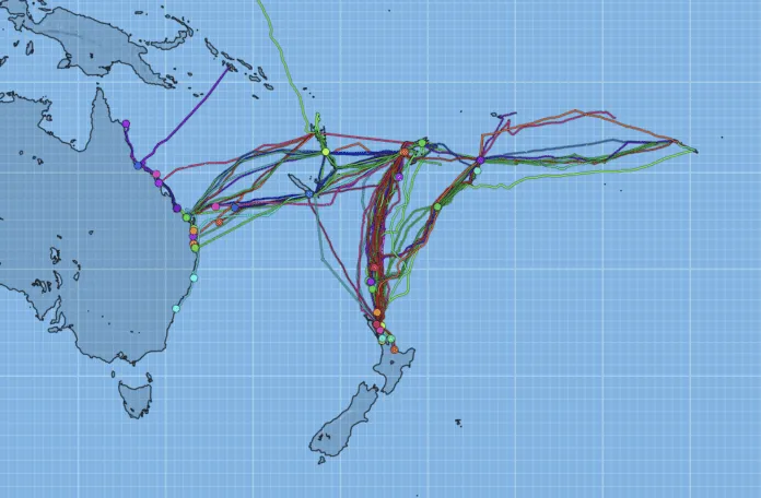 160 boats participated in the Island Cruising Pacific rally in 2024. (Image courtesy of Viki Moore)