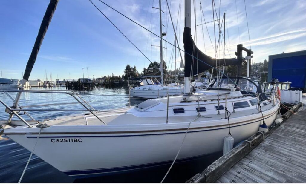 Catalina 34 Used Boat Review